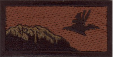 Image for 517 AS Firebird OCP Pocket Tab