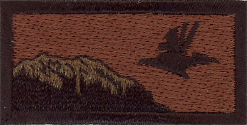 517 AS Firebird OCP Pocket Tab