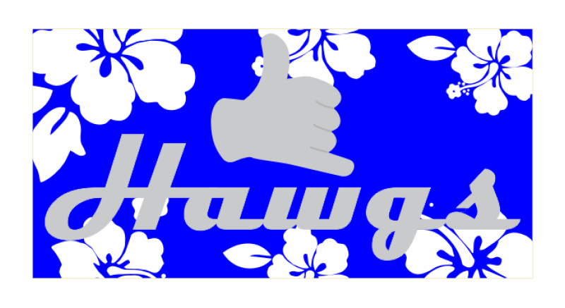 CS-34 Hawaiian Pocket Tab Blue/White/Gray