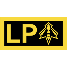 Image for 21 AS LP w/Bee Logo Pocket Tab