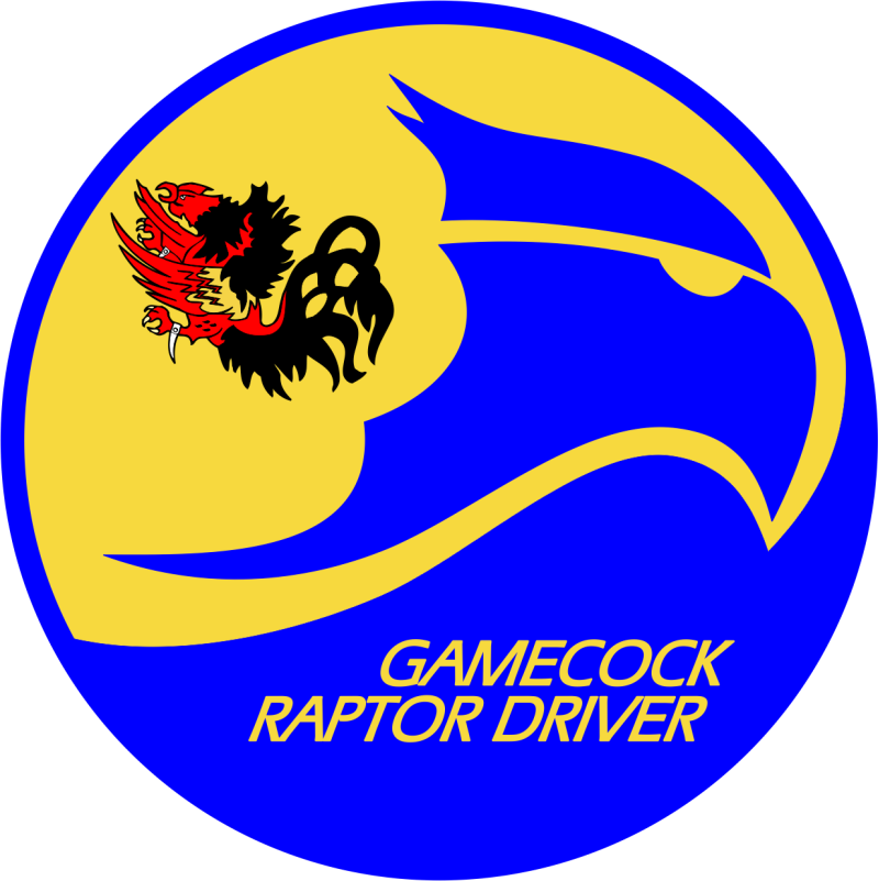 19 FS Raptor Driver Patch