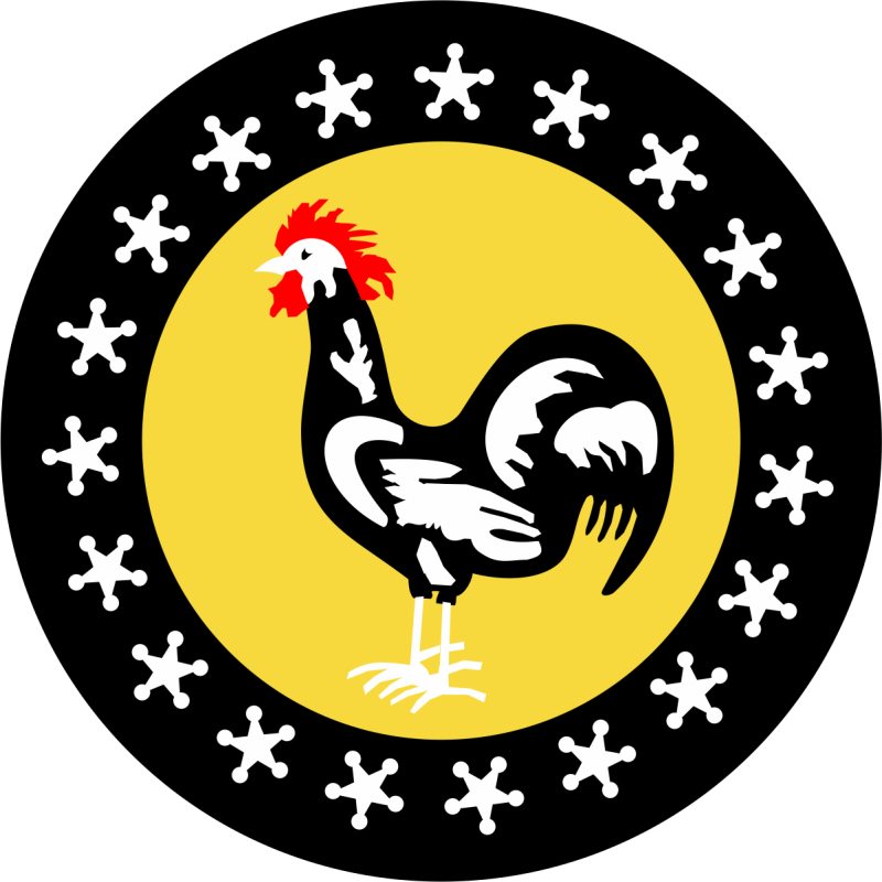 19 FS Heritage Patch