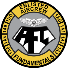 Image for 344 TRS AFC Patch