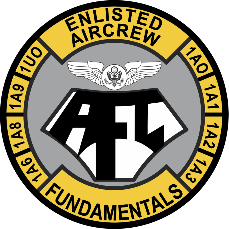 344 TRS AFC Patch
