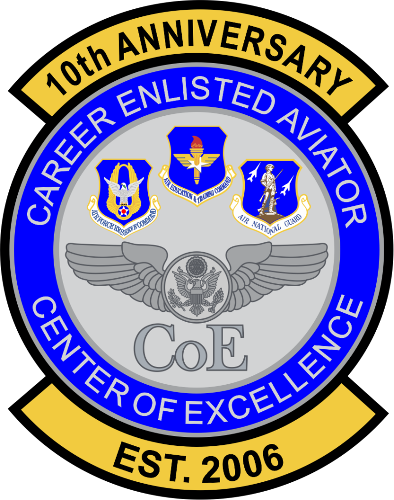 344 TRS 10th Anniversary Patch