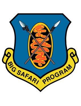 Image for Big Safari Program Full Color Patch