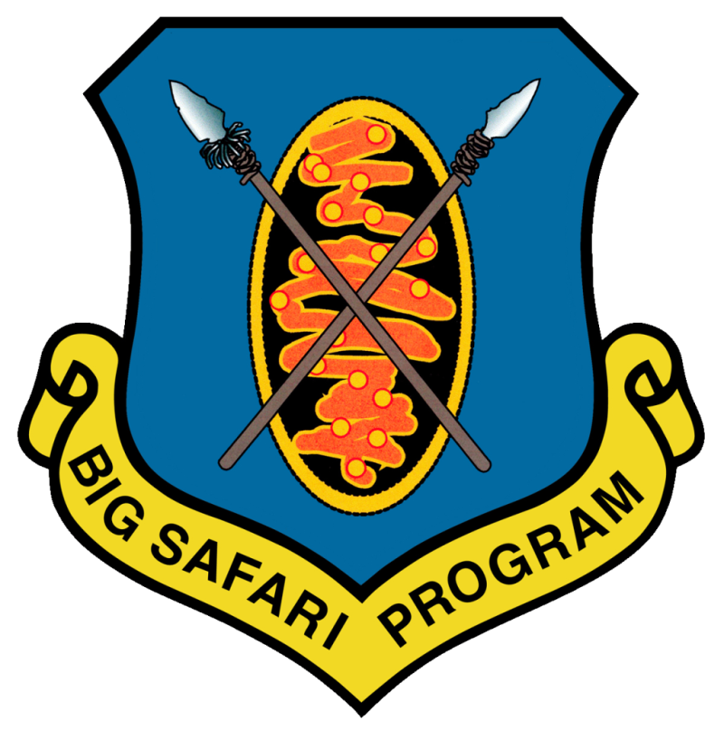 Big Safari Program Full Color Sticker