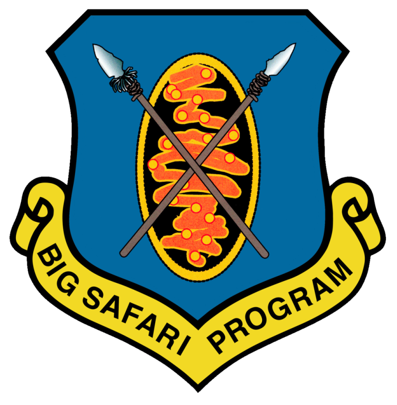 Big Safari Program Full Color Sticker