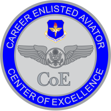 Image for 344 TRS CoE Full Color Patch