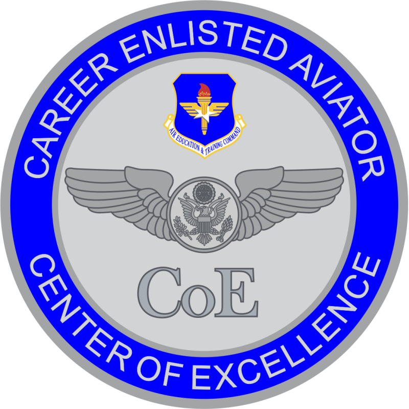 344 TRS CoE Full Color Patch