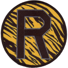 Image for 393 BS R Friday Patch