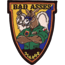 Image for 314 ARS Bad Asses Patch