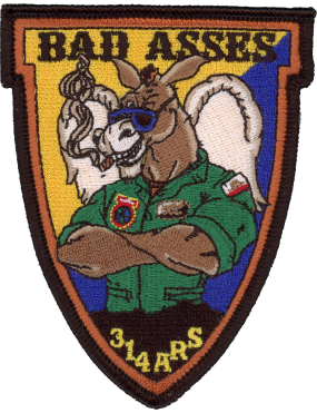 Image for 314 ARS Bad Asses Patch