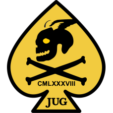 Image for 434 FTS JUG Patch
