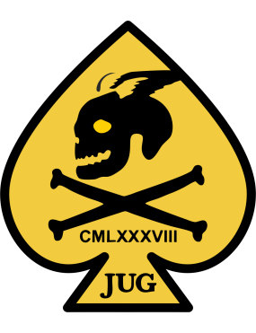 Image for 434 FTS JUG Patch