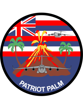 Image for 452 AES 2020 Patriot Palm Patch