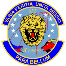 Image for 452 OSS Friday Full Color Patch