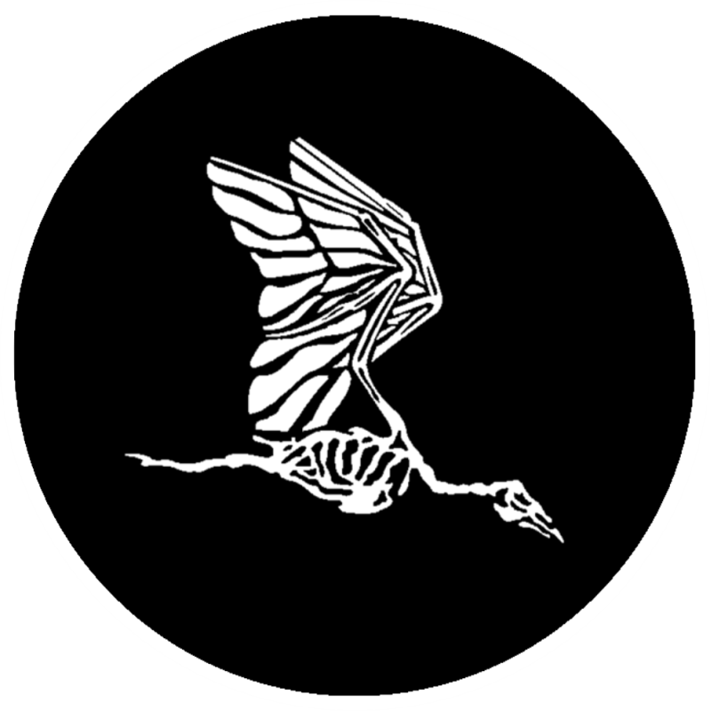 711 SOS Pterodactyl Skeleton Patch