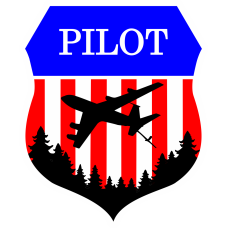 Image for 93 ARS Pilot Patch
