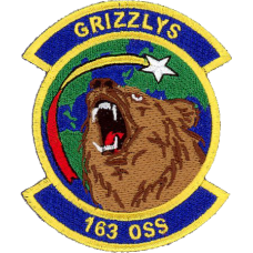 Image for 163 OSS Full Color Patch