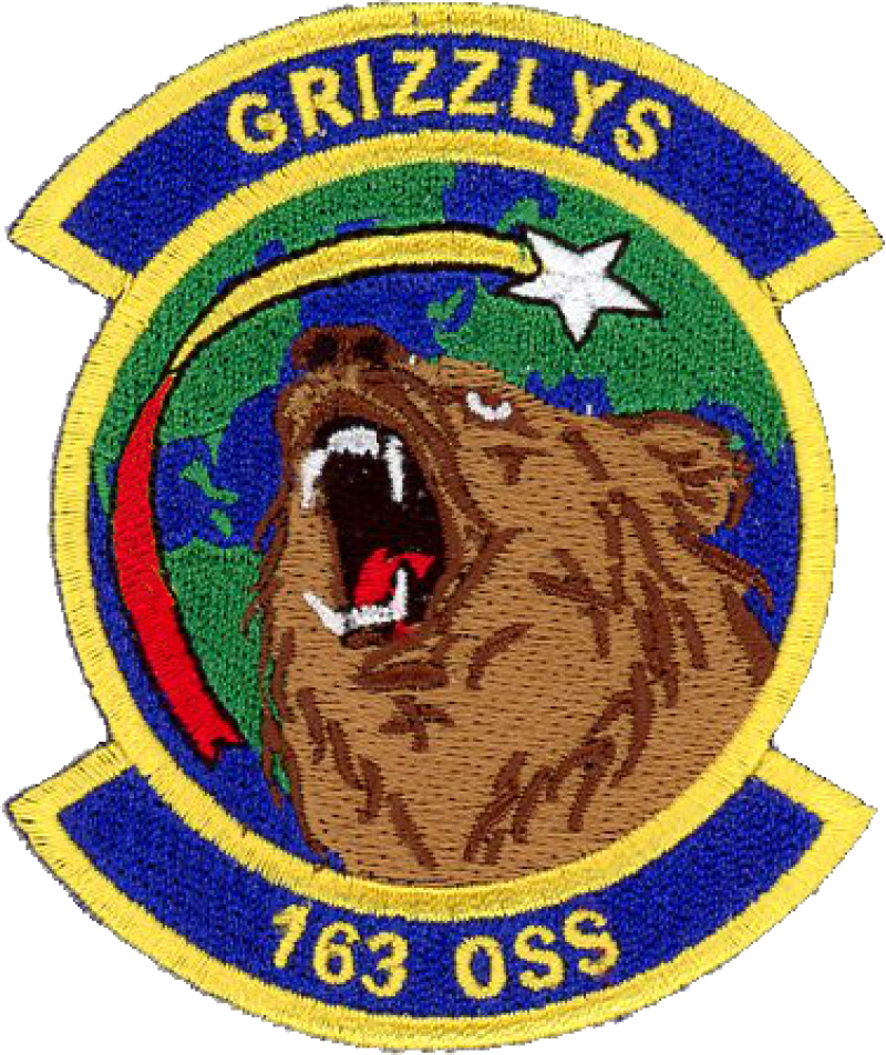 163 OSS Full Color Patch