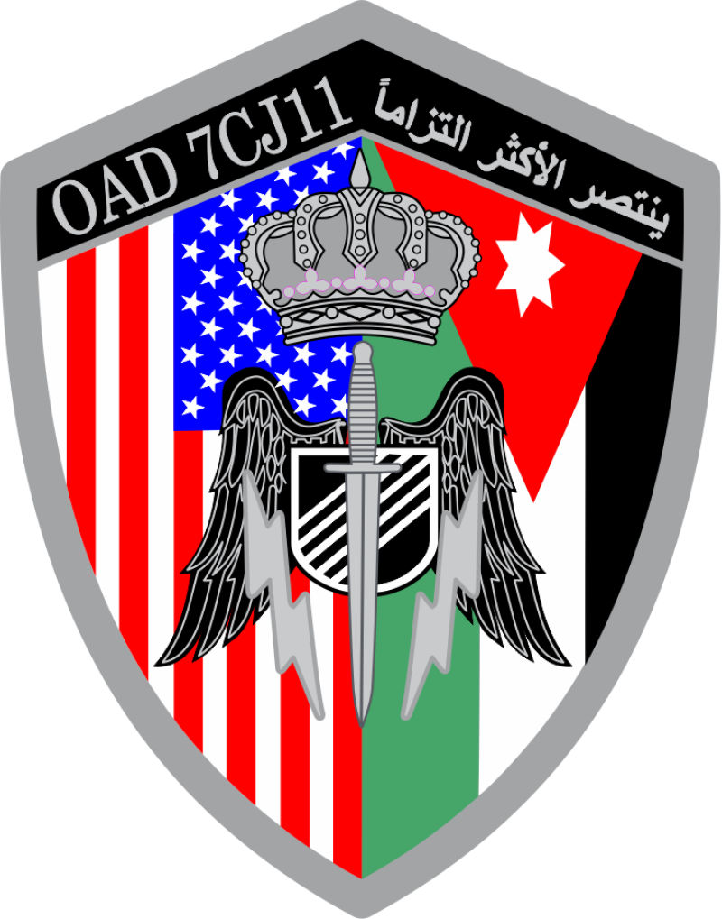 919 SOW Full Color Patch