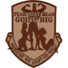 Image for 737 EAS Desert Patch