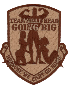 Image for 737 EAS Desert Patch
