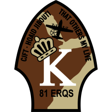 Image for 81 ERQS Desert Patch