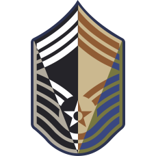 Image for CMSgt Stripes 4 Panel 7 inch ABU Patch