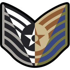 Image for TSgt Stripes 4 Panel 4" ABU