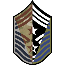 Image for CMSgt Stripes 4 Panel  7 inch OCP w/Star Patch