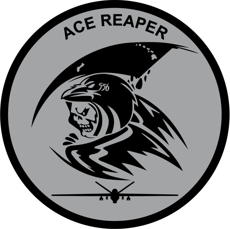 556 TES Gray & Black Patch