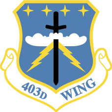 Image for 403 Wing Full-Color Patch