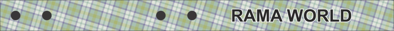 Green Plaid Bag Tag