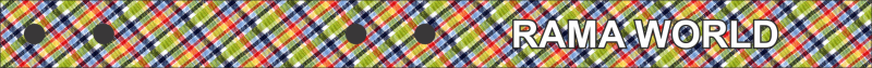 Multi Colored Plaid Bag Tag