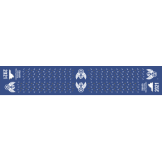 Image for Air Force Association Flight Scarf
