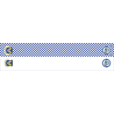 Image for Internal Health Specialist Flight Scarf