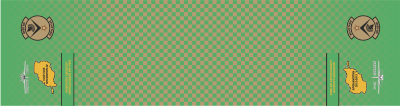 538 AEAS Flight Scarf