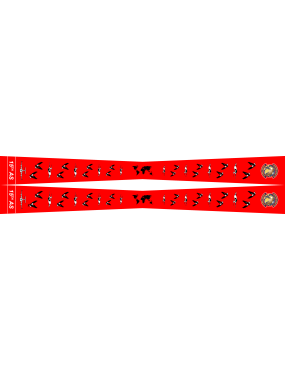 Image for 15 AS Flight Scarf
