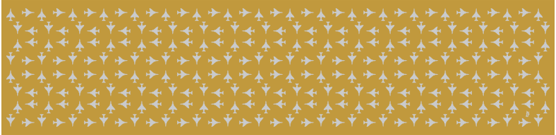 F-4 Gold Flight Scarf