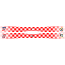 Image for 41 FTS FAIP Buzzsaw Flight Scarf