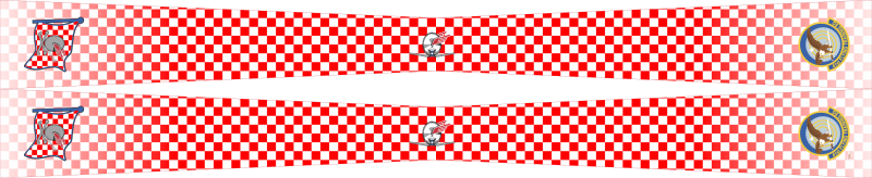 41 FTS FAIP Buzzsaw Flight Scarf 