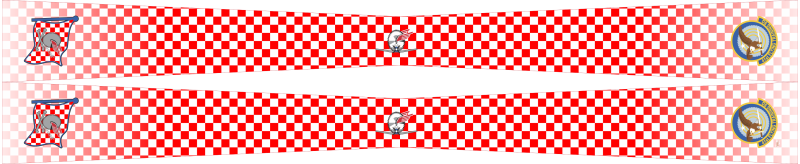 41 FTS FAIP Buzzsaw Flight Scarf 