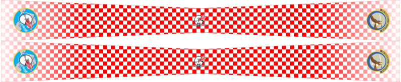 41 FTS Buzzsaw Flight Scarf