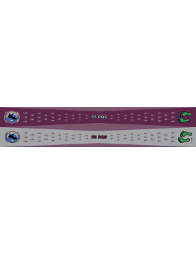 Image for 55 RQS Flight Scarf