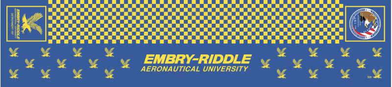 AFROTC DET 157 Flight Scarf