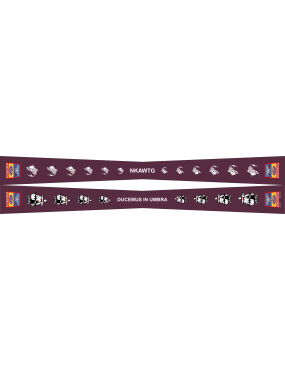 Image for 384 ARS Flight Scarf