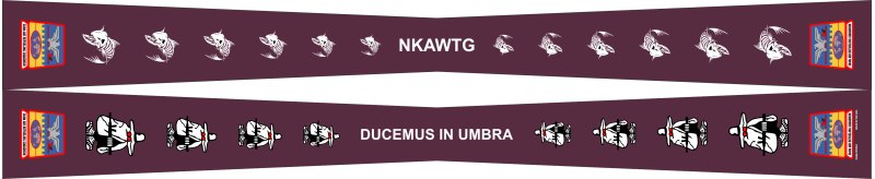 384 ARS Flight Scarf