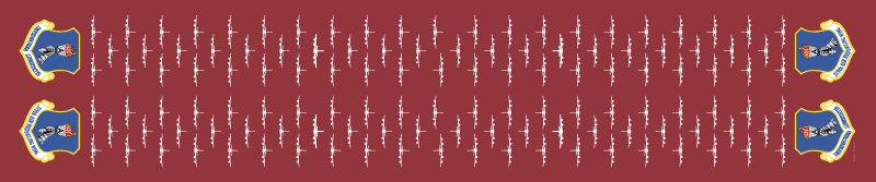 319 ARW Flight Scarf